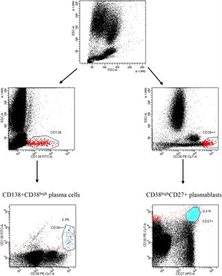 Increased expression of the <mark class="highlighted">ectoenzyme</mark> CD38 in peripheral blood plasmablasts and plasma cells of patients with systemic sclerosis